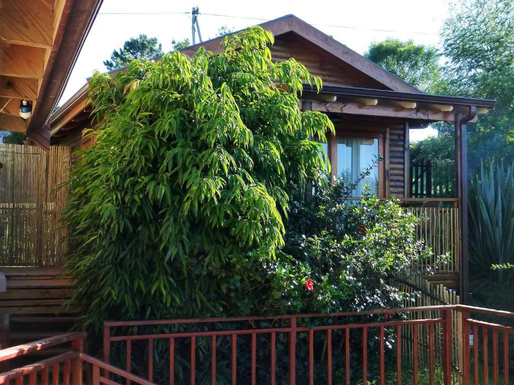Panorama Lodge Книсна Стая снимка